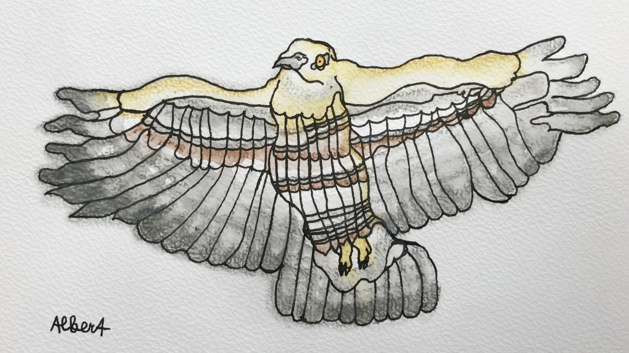 Vogelzeichnung von Albert Masser mit Feder- und Fellmotiven, Kunstwerk aus der Ausstellung "Zwischen.